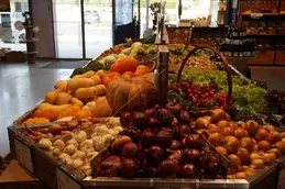 409-courge-butternut-ail-echalotte-oignon-rouge-et-oignon.webp