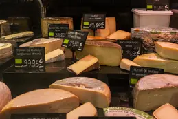 409-gouda-vieux-gouda-jeune-comte-de-montagne-et-de-reserve-emmental-gorgonzola-bleu-d-auvergne.webp