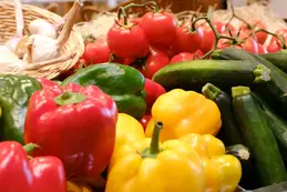 409-poivrons-concombre-tomates.webp